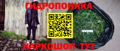 круглые Заводоуковск